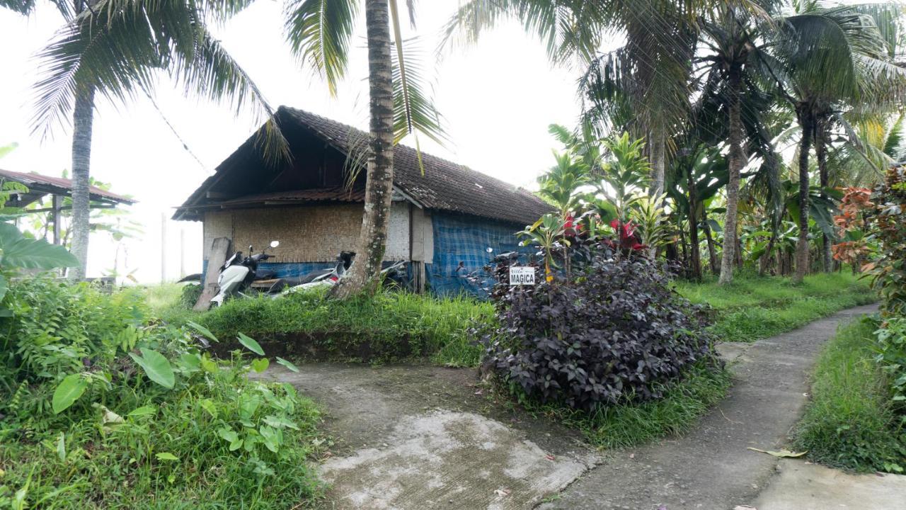 Villa Magica Ubud Exteriér fotografie