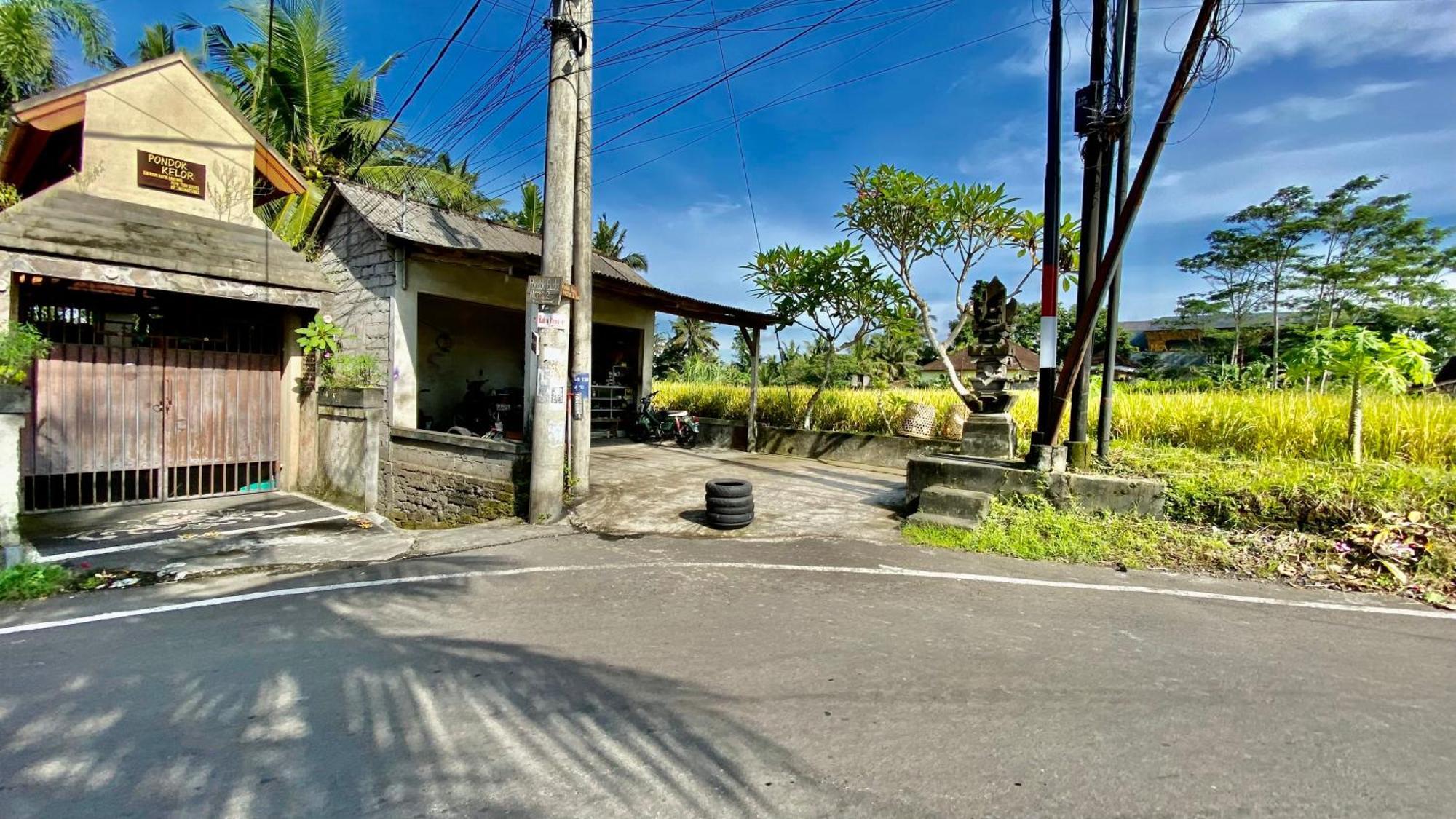 Villa Magica Ubud Exteriér fotografie