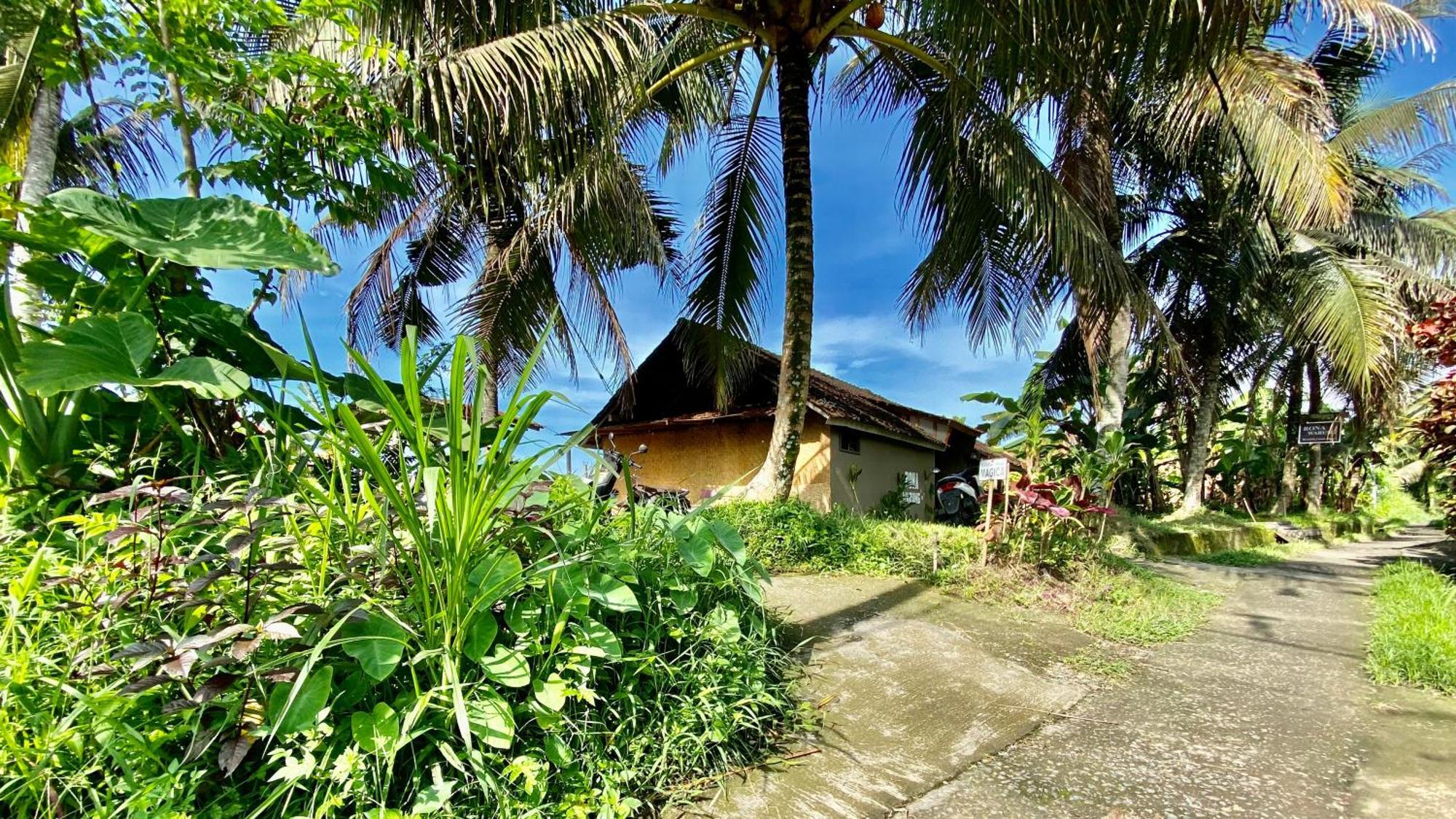 Villa Magica Ubud Exteriér fotografie