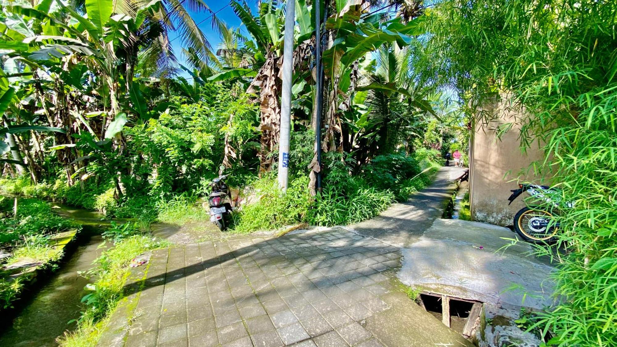Villa Magica Ubud Exteriér fotografie