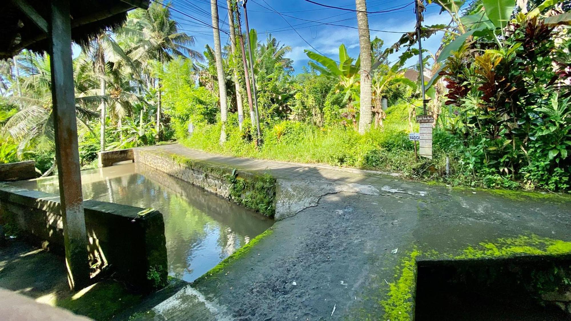 Villa Magica Ubud Exteriér fotografie